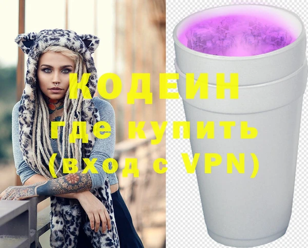 apvp Бородино