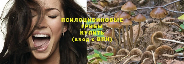 apvp Бородино